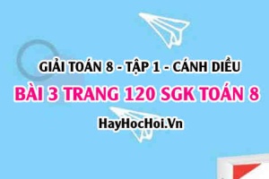 Giải bài 3 trang 120 Toán 8 Tập 1 SGK Cánh Diều